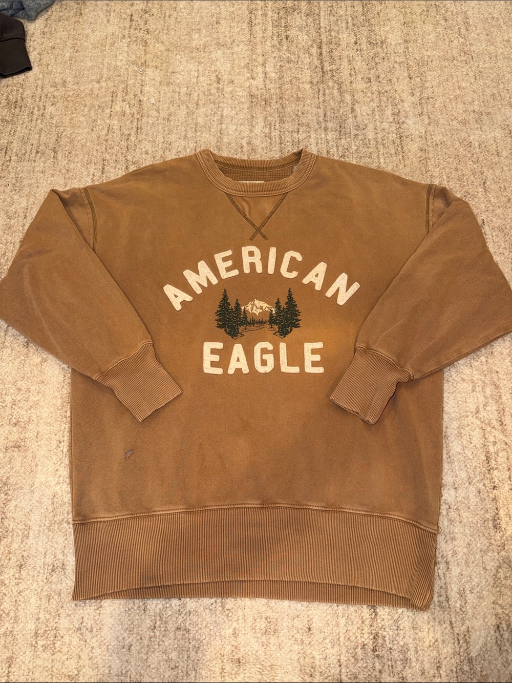American Eagle Outfitters Brown Graphic Crewneck Sweatshirt with Forest Logo